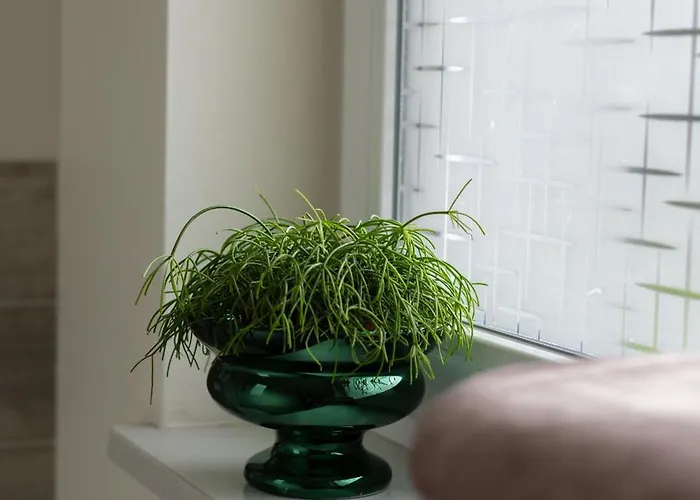 Wczasowa - Z Widokiem Na Gory, Parkingiem, Narciarnia Apartment *